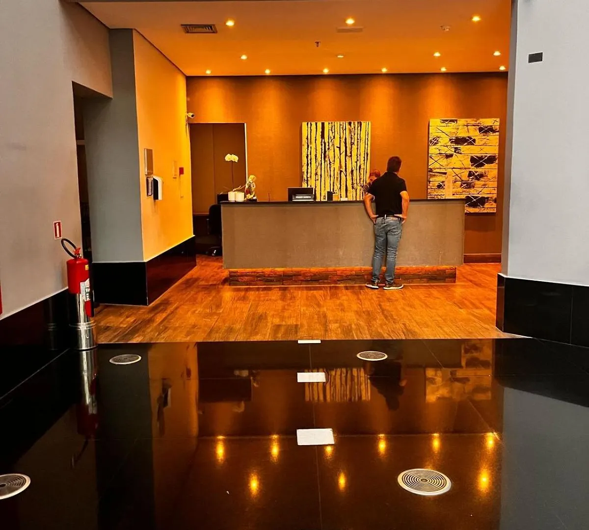Flat Executive Deluxe - Av Ibirapuera Apartment Sao Paulo Brazil
